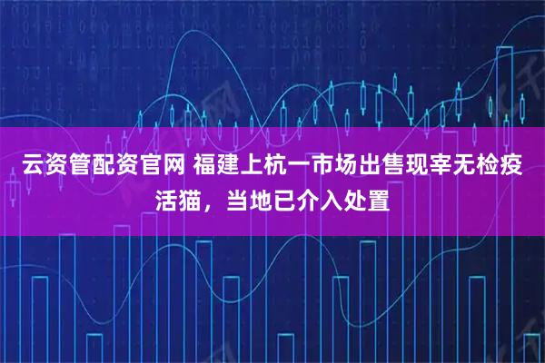 云资管配资官网 福建上杭一市场出售现宰无检疫活猫，当地已介入处置