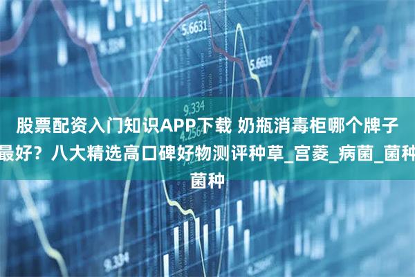股票配资入门知识APP下载 奶瓶消毒柜哪个牌子最好？八大精选高口碑好物测评种草_宫菱_病菌_菌种