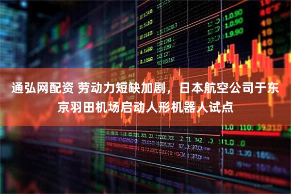 通弘网配资 劳动力短缺加剧，日本航空公司于东京羽田机场启动人形机器人试点